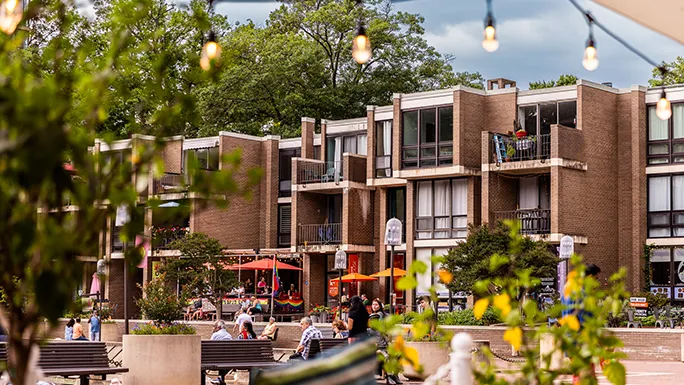 Historic Lake Anne Plaza featuring the fountain and Van Gogh Bridge
